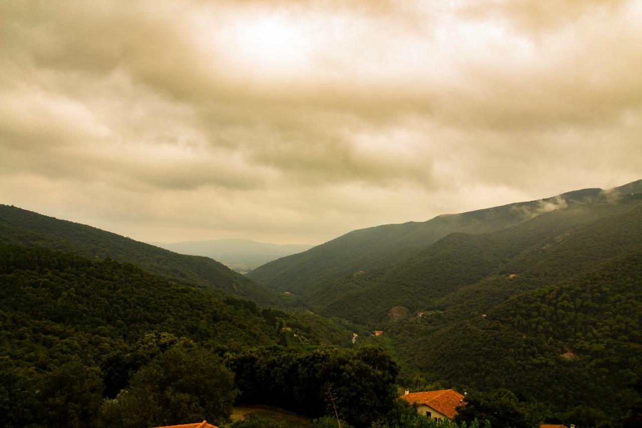 Hostal Montserrat Montseny Exterior foto